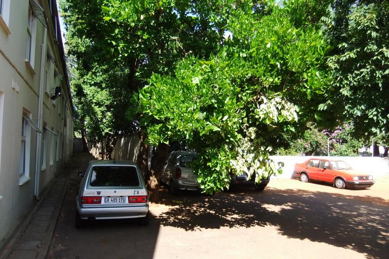 To Let 1 Bedroom Property for Rent in Stellenbosch Central Western Cape